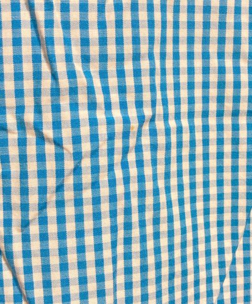 COMME des GARCONS HOMME（コムデギャルソン オム）COMME des GARCONS HOMME (コムデギャルソン オム) ギンガムチェックS/Sシャツ/Gingham Check Shirt ブルー サイズ:不明の古着・服飾アイテム