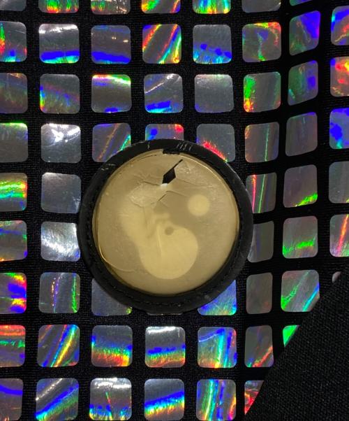 FOTUS（フェトウス）FOTUS (フェトウス) ホログラムジップワンピース ブラック サイズ:Sの古着・服飾アイテム