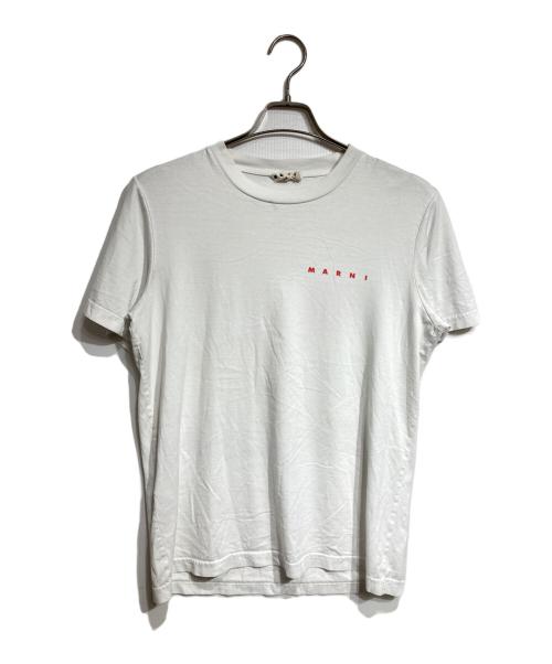 MARNI（マルニ）MARNI (マルニ) ロゴプリントＴシャツ/logo graphic T-shirt グレー サイズ:44の古着・服飾アイテム
