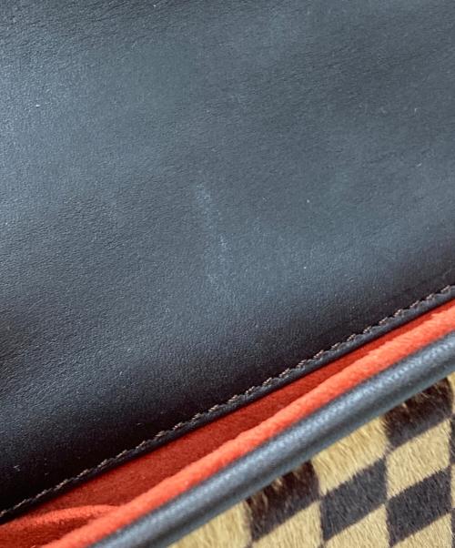 LOUIS VUITTON（ルイ ヴィトン）LOUIS VUITTON (ルイ ヴィトン) ハラコハンドバッグ/ダミエソバージュ ブラウンの古着・服飾アイテム