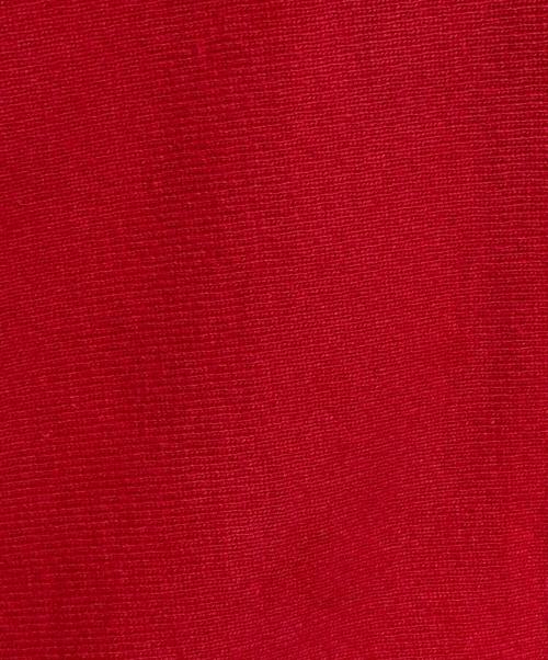 Champion（チャンピオン）Champion (チャンピオン) USA製リバースウィーブフーディー レッド サイズ:XLの古着・服飾アイテム