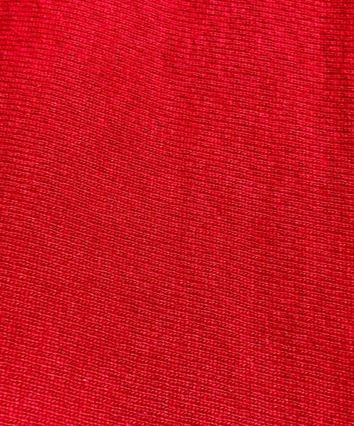 Champion（チャンピオン）Champion (チャンピオン) USA製リバースウィーブフーディー レッド サイズ:XLの古着・服飾アイテム