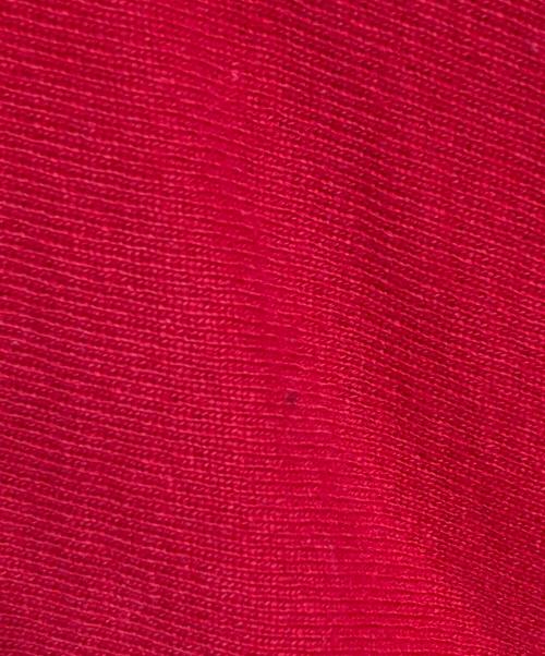 Champion（チャンピオン）Champion (チャンピオン) USA製リバースウィーブフーディー レッド サイズ:XLの古着・服飾アイテム