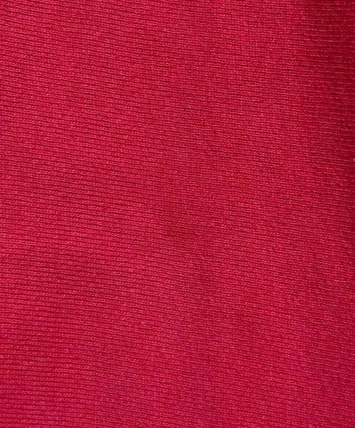 Champion（チャンピオン）Champion (チャンピオン) USA製リバースウィーブフーディー レッド サイズ:XLの古着・服飾アイテム