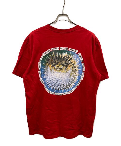 SUPREME（シュプリーム）Supreme (シュプリーム) blowfish tee レッド サイズ:Lの古着・服飾アイテム