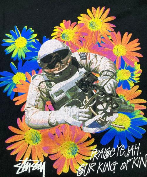 stussy（ステューシー）stussy (ステューシー) Tシャツ ブラック サイズ:Mの古着・服飾アイテム
