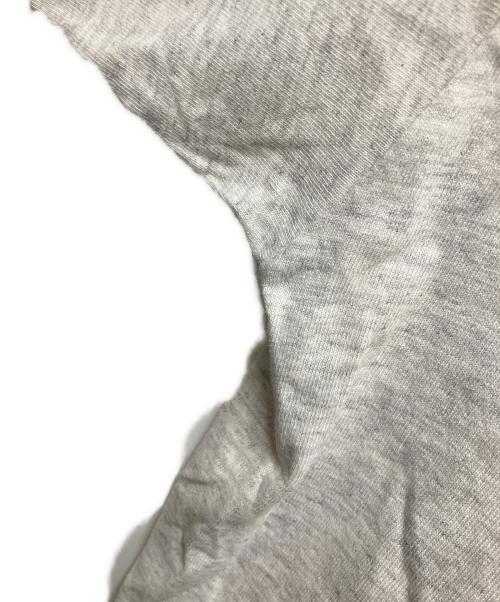 stussy（ステューシー）stussy (ステューシー) ラスタマンTee グレー サイズ:Ｌの古着・服飾アイテム