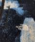 中古・古着 THE NORTH FACE (ザ ノース フェイス) Supreme (シュプリーム) Bleached Denim Print Fleece Jacket ネイビー×ブルー サイズ:M：34000円