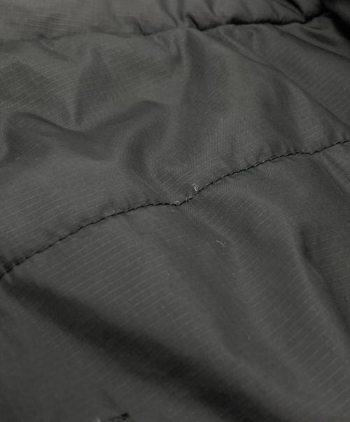 Patagonia（パタゴニア）Patagonia (パタゴニア) パフジャケット/puffer jacket ブラック サイズ:Lの古着・服飾アイテム