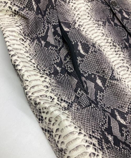 THE NORTH FACE（ザ ノース フェイス）THE NORTH FACE (ザ ノース フェイス) Supreme (シュプリーム) SNAKE COACHES JACKET グレー サイズ:Mの古着・服飾アイテム