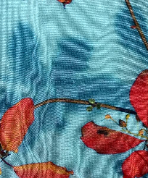 DRIES VAN NOTEN（ドリスヴァンノッテン）DRIES VAN NOTEN (ドリスヴァンノッテン) ボタニカル柄セカンドスキンカットソー/Botanical Print Second-Skin Top ブルー サイズ:XSの古着・服飾アイテム