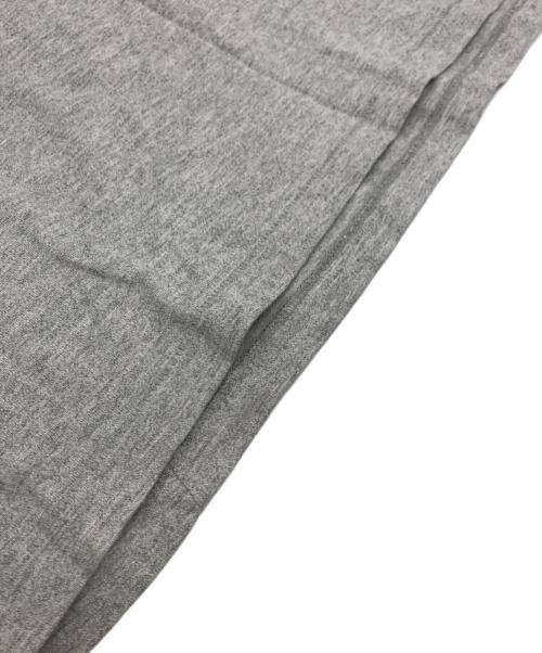 Champion（チャンピオン）Champion (チャンピオン) stussy (ステューシー) コラボTシャツ グレー サイズ:Mの古着・服飾アイテム