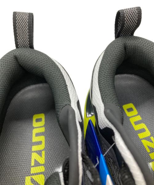 MIZUNO（ミズノ）MIZUNO (ミズノ) WAVE PROHECY/ウェーブプロフェシー13.2/スニーカー グレー サイズ:28の古着・服飾アイテム