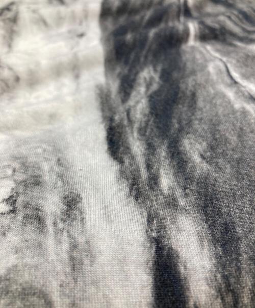 HELMUT LANG（ヘルムートラング）HELMUT LANG (ヘルムートラング) 転写プリントカットソー/Heat transfer print グレー サイズ:Ｓの古着・服飾アイテム