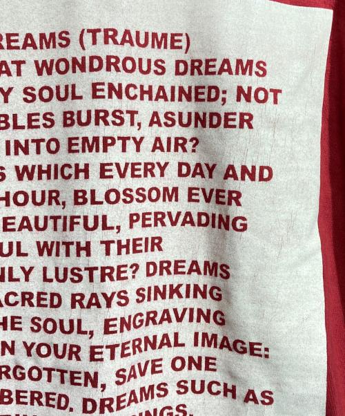 DRKSHDW（ダークシャドウ）DRKSHDW (ダークシャドウ) Layered Long Sleeve T-shirt/レイヤードロングスリーブカットソー レッド×ブラウン サイズ:Sの古着・服飾アイテム