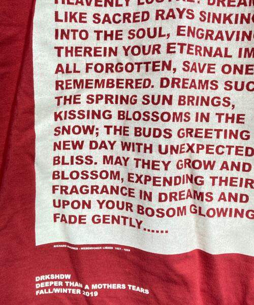 DRKSHDW（ダークシャドウ）DRKSHDW (ダークシャドウ) Layered Long Sleeve T-shirt/レイヤードロングスリーブカットソー レッド×ブラウン サイズ:Sの古着・服飾アイテム