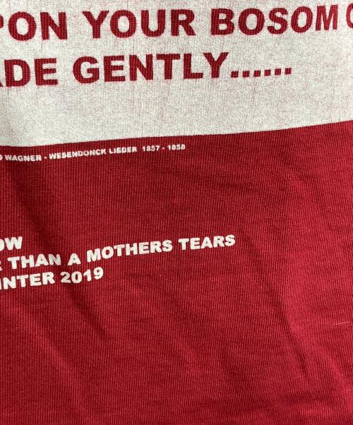 DRKSHDW（ダークシャドウ）DRKSHDW (ダークシャドウ) Layered Long Sleeve T-shirt/レイヤードロングスリーブカットソー レッド×ブラウン サイズ:Sの古着・服飾アイテム