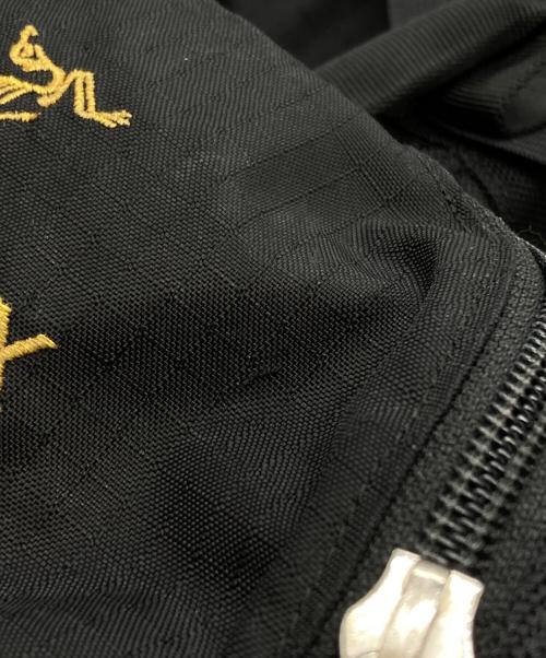 ARC'TERYX（アークテリクス）ARC'TERYX (アークテリクス) BEAMS (ビームス) SEBRING backpack/セブリングバックパック ブラックの古着・服飾アイテム