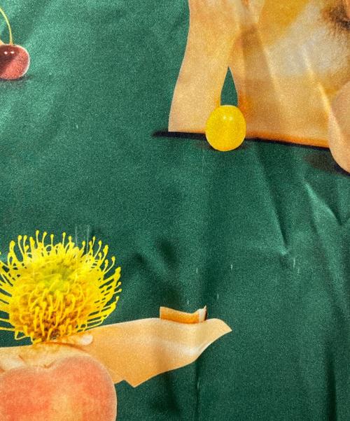 Acne studios（アクネ ストゥディオズ）ACNE STUDIOS (アクネ ストゥディオズ) BLEY PRINTED SATIN DRESS/ブレイ プリンテッド サテン ドレス グリーン×ベージュ サイズ:34の古着・服飾アイテム