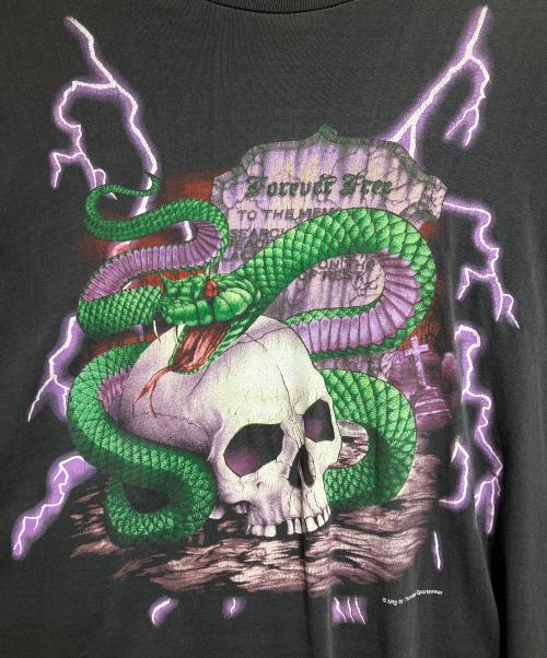 AMERICAN THUNDER（アメリカンサンダー）AMERICAN THUNDER (アメリカンサンダー) スカル×スネーク×サンダーTシャツ/AMERICAN Thunder ブラック サイズ:不明の古着・服飾アイテム
