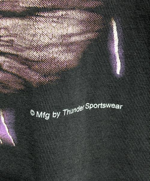 AMERICAN THUNDER（アメリカンサンダー）AMERICAN THUNDER (アメリカンサンダー) スカル×スネーク×サンダーTシャツ/AMERICAN Thunder ブラック サイズ:不明の古着・服飾アイテム