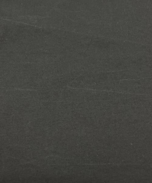 ARC'TERYX（アークテリクス）ARC'TERYX (アークテリクス) ARC'WORD T-SHIRT/ロゴT ブラック サイズ:Sの古着・服飾アイテム