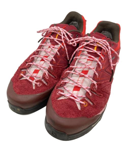 SALOMON（サロモン）SALOMON (サロモン) THE BROKEN ARM (ザ・ブロークンアーム) X-Alpages GTX TBA 'Red' レッド サイズ:28cmの古着・服飾アイテム