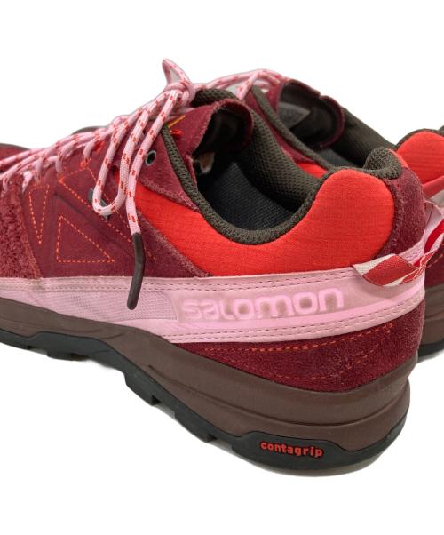 SALOMON（サロモン）SALOMON (サロモン) THE BROKEN ARM (ザ・ブロークンアーム) X-Alpages GTX TBA 'Red' レッド サイズ:28cmの古着・服飾アイテム