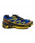 SALOMONの古着・服飾アイテム：30000円
