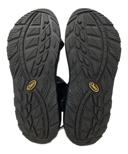 bluerug（ブルーラグ）bluerug (ブルーラグ) Chaco (チャコ) サンダル/Sandals ブラック サイズ:29cmの古着・服飾アイテム