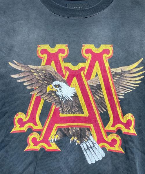 AMIRI（アミリ）AMIRI (アミリ) MA Eagle Tシャツ/MA イーグル Tee グレー サイズ:XLの古着・服飾アイテム