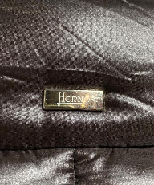 HERNO（ヘルノ）HERNO (ヘルノ) ICONICOダウンコート/ ICONICO Down Coat ブラウン サイズ:40の古着・服飾アイテム