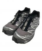 SALOMONサロモン）の古着「XT-6 Concrete Jungle.」｜グレー