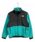 THE NORTH FACE（ザ ノース フェイス）の古着「95レトロデナリジャケット」｜ブルー