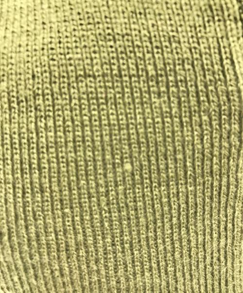 SUPREME（シュプリーム）Supreme (シュプリーム) New Era (ニューエラ) cross box logo beanie グリーンの古着・服飾アイテム