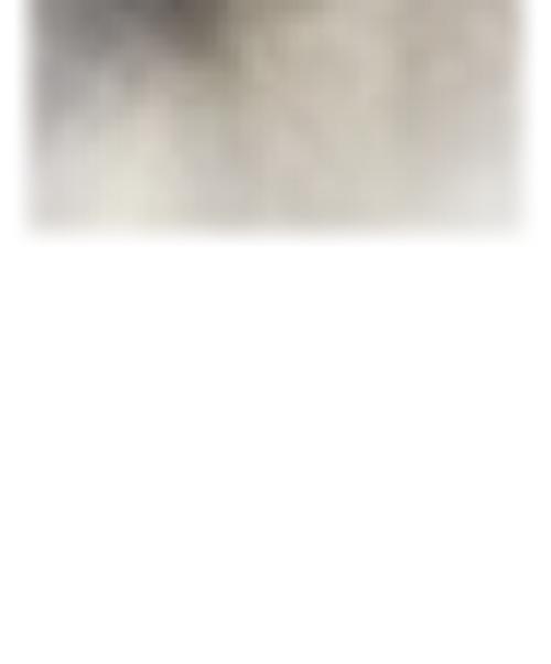 N.HOOLYWOOD（エヌ ハリウッド）N.HOOLYWOOD (エヌ ハリウッド) CREWNECK SWEATSHIRT チャコールグレー サイズ:40の古着・服飾アイテム