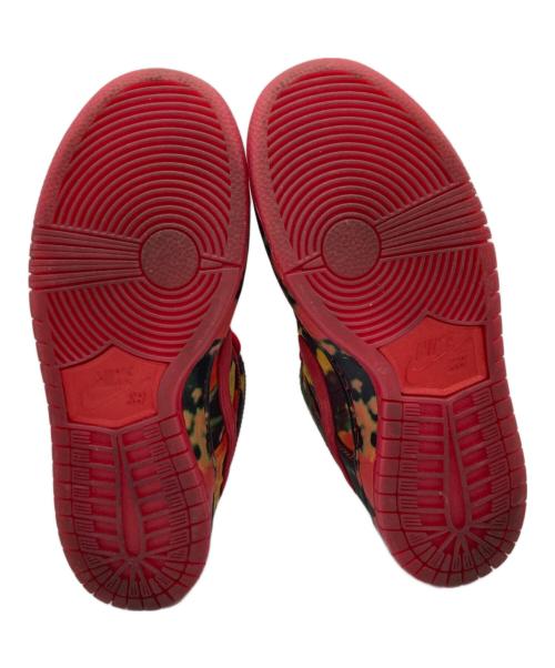 NIKE SB（ナイキエスビー）NIKE SB (ナイキエスビー) The Wizard of Oz Dunk Low 