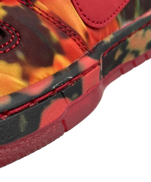 NIKE SB（ナイキエスビー）NIKE SB (ナイキエスビー) The Wizard of Oz Dunk Low 