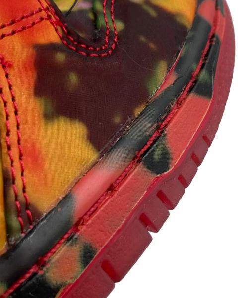 NIKE SB（ナイキエスビー）NIKE SB (ナイキエスビー) The Wizard of Oz Dunk Low 