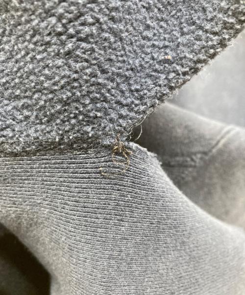 Champion REVERSE WEAVE（チャンピオン リバース ウィーブ）Champion REVERSE WEAVE (チャンピオン リバース ウィーブ) プリントスウェット ネイビー サイズ:XXLの古着・服飾アイテム