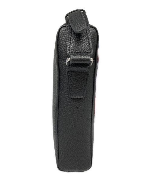 DRESSTERIOR（ドレステリア）DRESSTERIOR (ドレステリア) シュリンクレザー ショルダーバッグ ブラックの古着・服飾アイテム