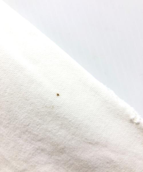 POGGY THE MAN（ポギーザマン）POGGY THE MAN (ポギーザマン) ヴィンテージ加工プルオーバーパーカー ホワイト サイズ:Lの古着・服飾アイテム