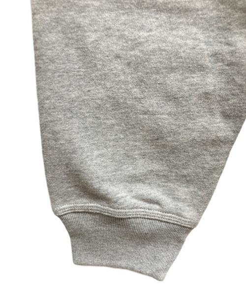 stussy（ステューシー）stussy (ステューシー) ハーフジップスウェット グレー サイズ:XL 未使用品の古着・服飾アイテム