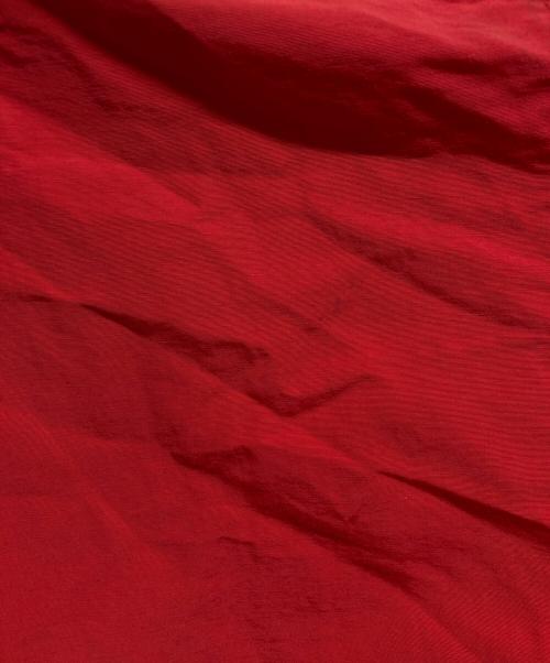 Patagonia（パタゴニア）Patagonia (パタゴニア) バギーズプルオーバー レッド サイズ:Mの古着・服飾アイテム