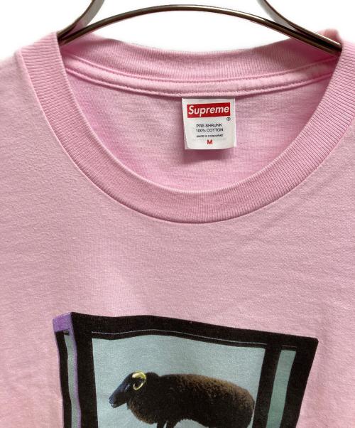 SUPREME（シュプリーム）Supreme (シュプリーム) 25SS Damian Hirst Tee ピンク サイズ:Mの古着・服飾アイテム