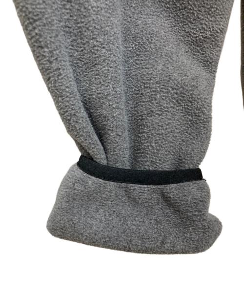 THE NORTH FACE（ザ ノース フェイス）THE NORTH FACE (ザ ノース フェイス) DENALI HOODIE グレー サイズ:Lの古着・服飾アイテム