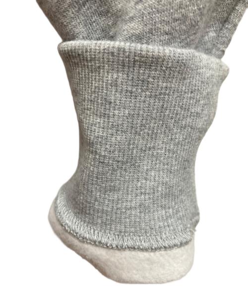 THE NORTH FACE（ザ ノース フェイス）THE NORTH FACE (ザ ノース フェイス) リアビューフルジップフーディ グレー サイズ:Lの古着・服飾アイテム