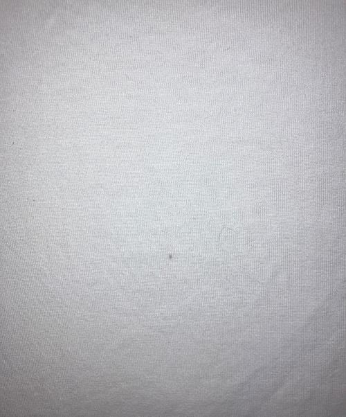 FUMITO GANRYU（フミトガンリュウ）FUMITO GANRYU (フミトガンリュウ) 22SS メッシュ切替Tシャツ ホワイト サイズ:2の古着・服飾アイテム