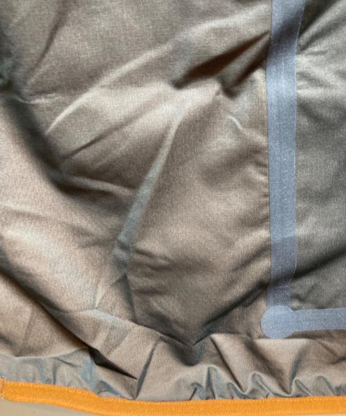 Patagonia（パタゴニア）Patagonia (パタゴニア) Dirt Roamer Jacket ブラウン サイズ:Sの古着・服飾アイテム