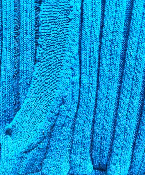 BEEDEN（ビーデン）BEEDEN (ビーデン) SHEER STRIPE HOODIE TOP ブルー サイズ:Freeの古着・服飾アイテム